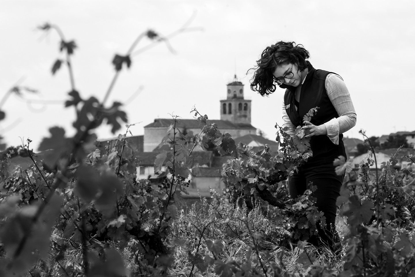 Ossian Vides y Vinos