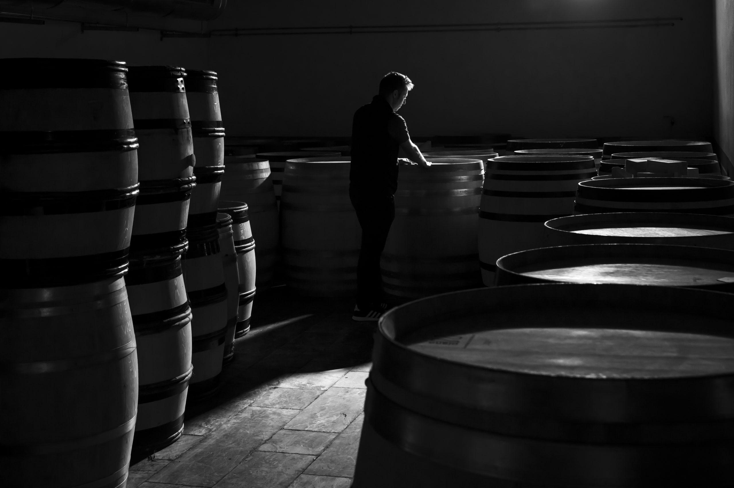 osian0035 Bodega Ossian barricas