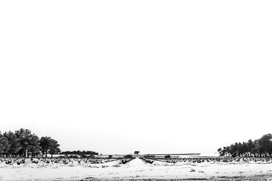 ossian_nieve