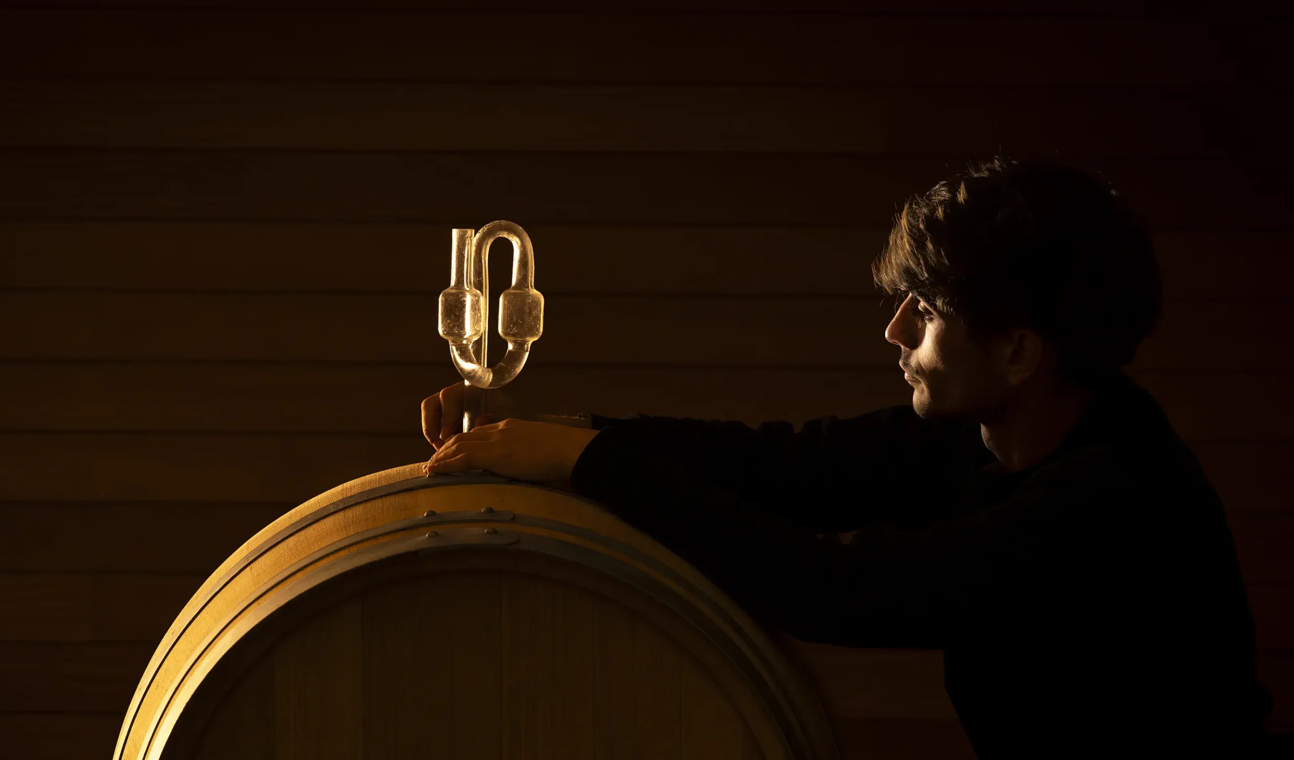 Elaboración de la verdejo